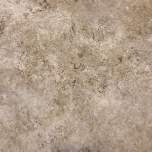 Meet your Posher, Dan